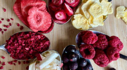 freeze dried fruits wholesale small freeze dried fruits wholesale small VALIO.de