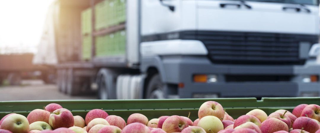 Äpfel auf einem Förderband vor einem LKW, Frischware für den Transport.