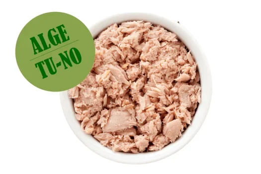 Veganer Thunfisch auf Algenbasis